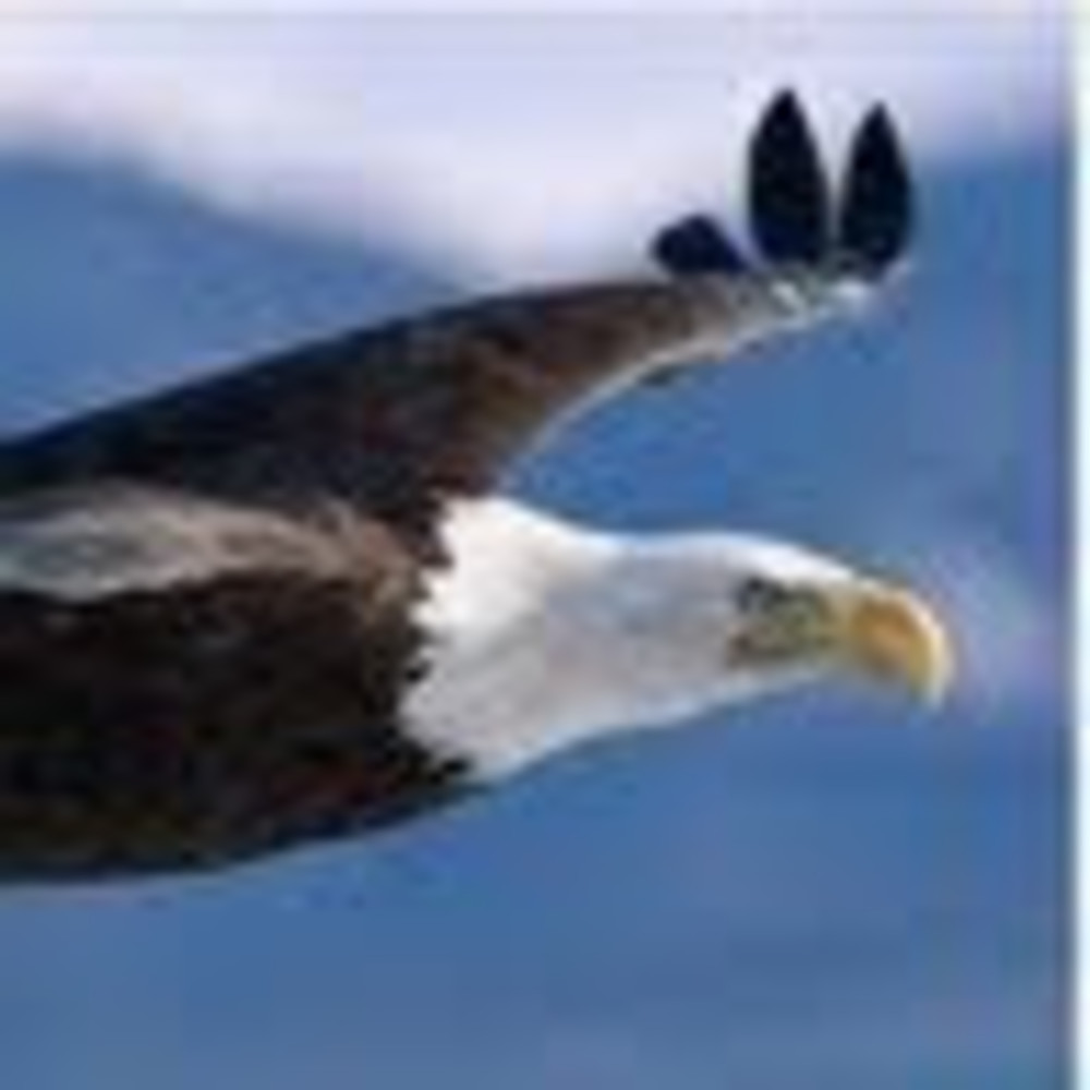 Meet your Posher, Richard